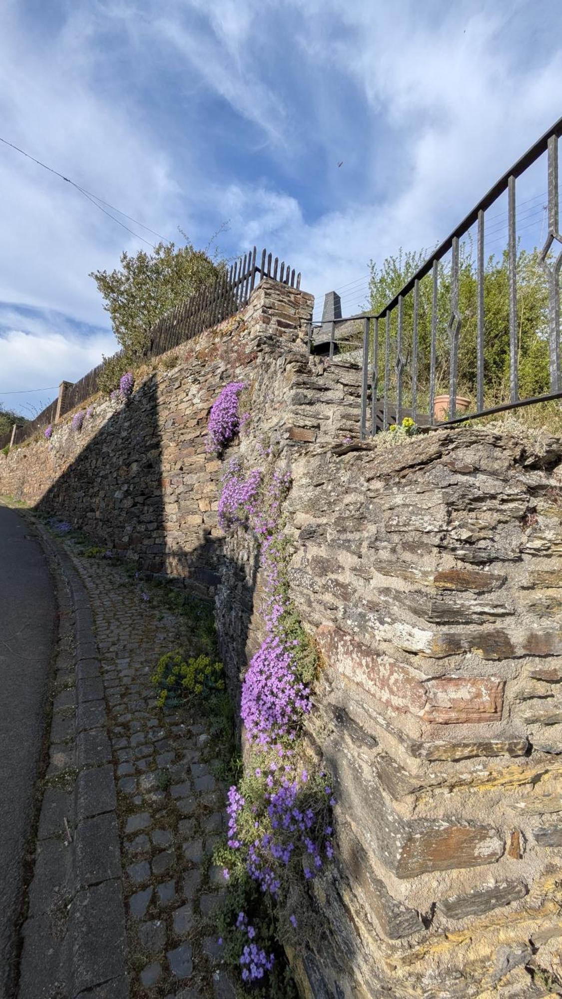 Zum Alten Pfarrhaus Damscheid Exteriör bild